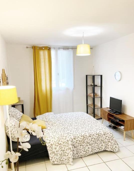 Studio A 5 Mn A Pied De La Gare Saint-Roch Montpellier Extérieur photo